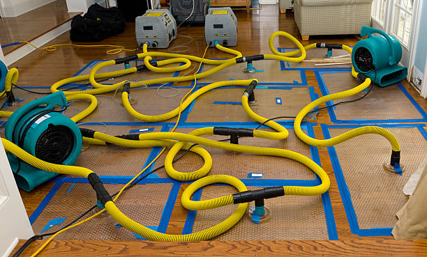 Professional Sewage Cleanup technician working in Alvarado, TX